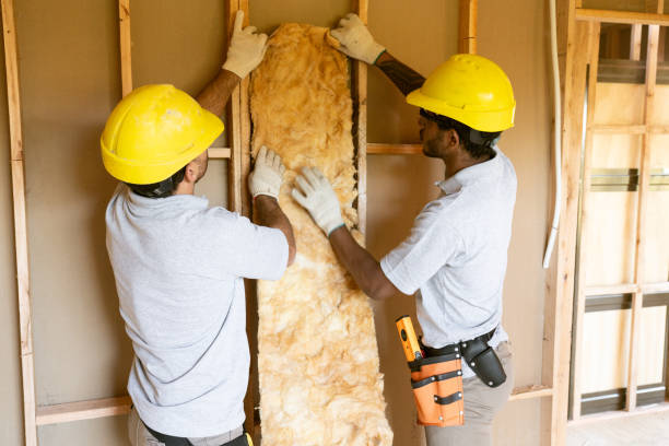 Best Insulation for New Construction  in Worth, IL